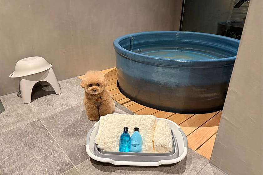 三重県の名湯とわんちゃん用のお風呂セット