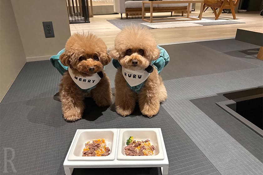 愛犬にもこだわりの無添加メニューを