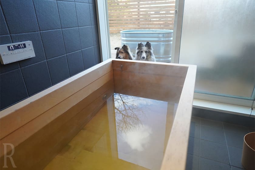 飼い主歓喜のプライベート天然温泉