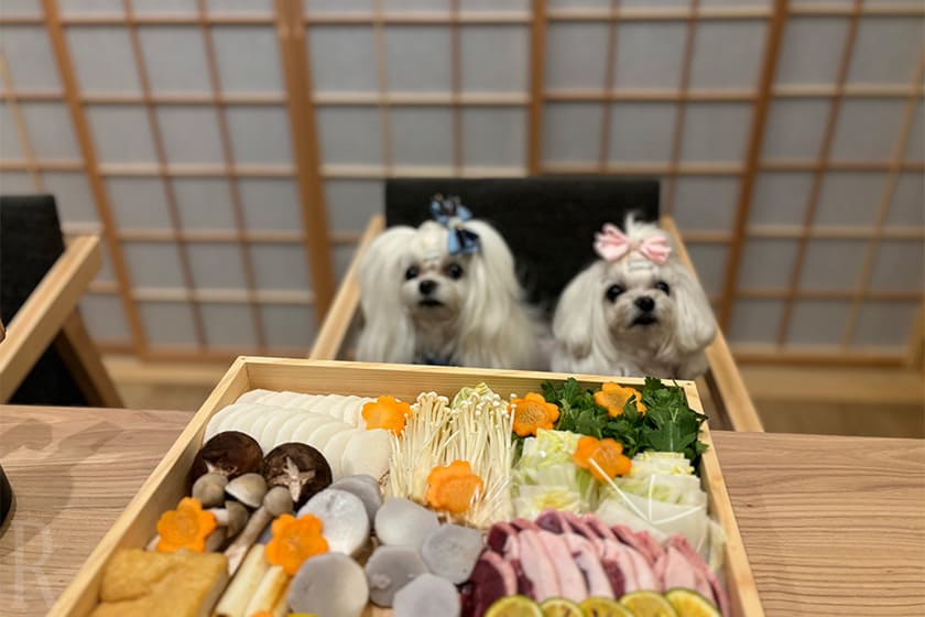 夕食は京鴨鍋プランをセレクト