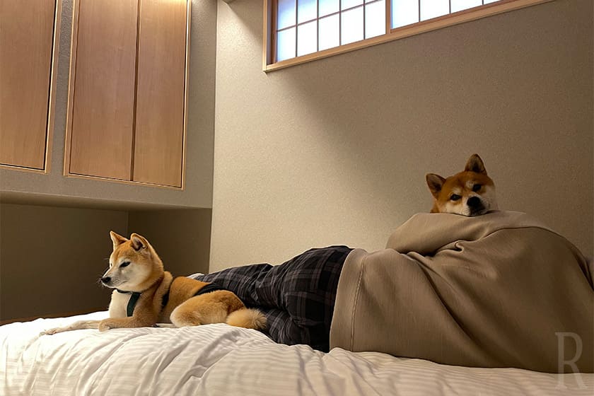 愛犬と過ごすかけがえのない時間を満喫できた【DOGVILLA KYO-TAMBA 木都】
