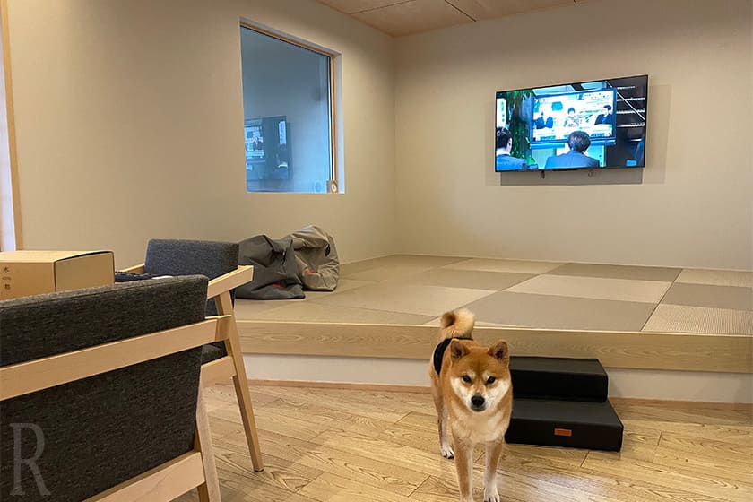 愛犬との暮らしを想定したやさしい設計のヴィラ
