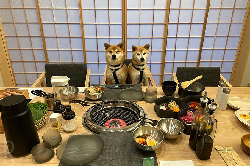まるで愛犬と一緒に焼肉屋さんへきた気分