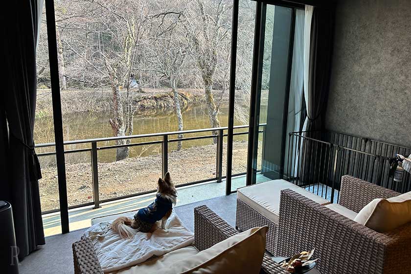 シックなインテリア