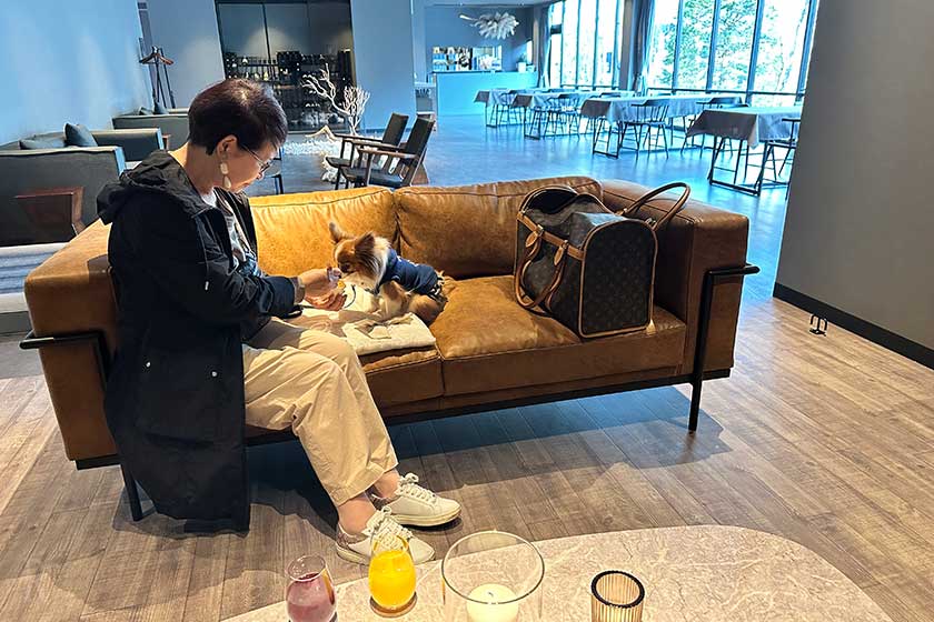 ソファで遊ぶ飼い主さんとふわりちゃん