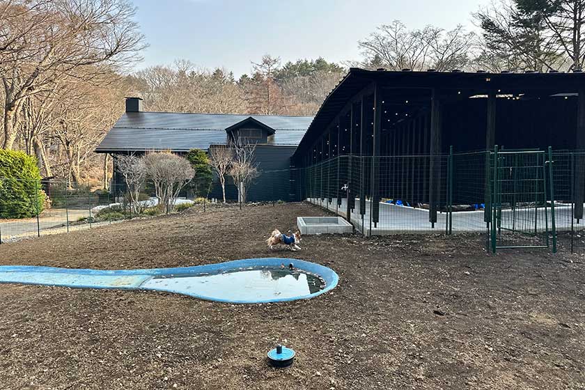 広いドッグラン