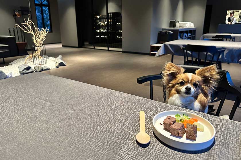 ふわりちゃんと愛犬用食事