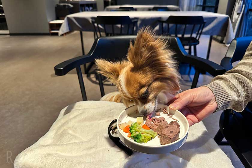 愛犬用食事