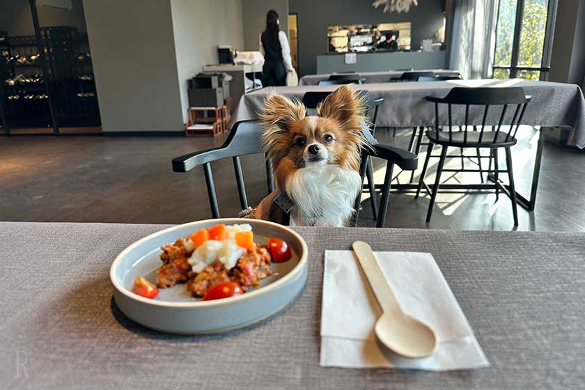愛犬用朝食