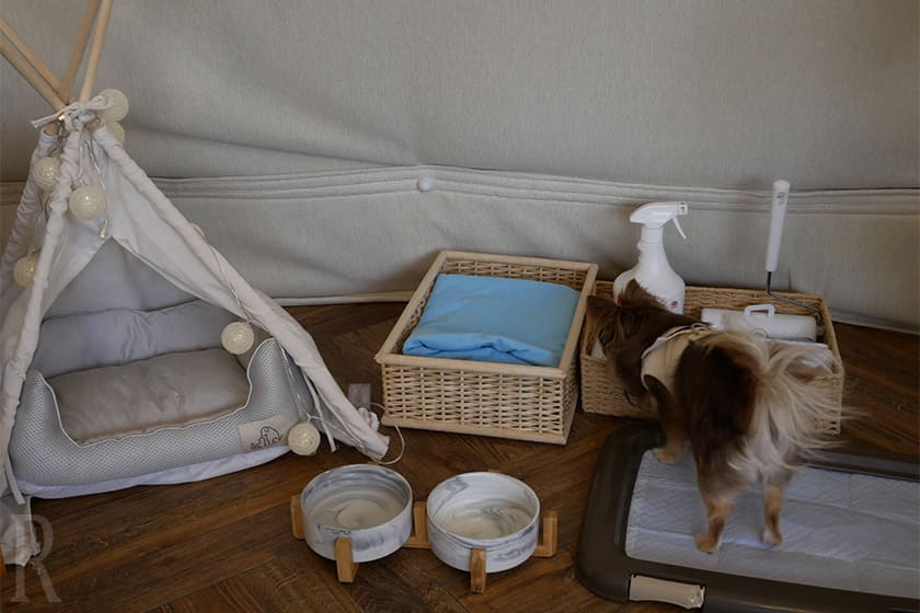 充実したドッグアメニティに愛犬ゲストへのおもてなしが随所に感じられました。