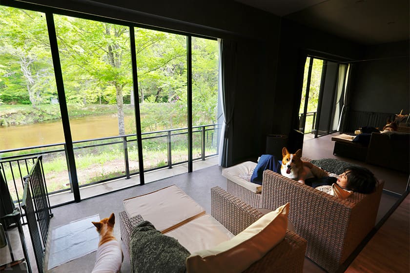 豊かな自然の風景が一望できるお部屋