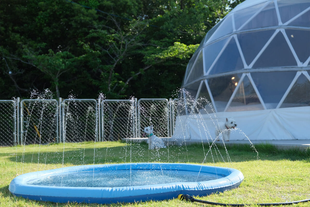 夏用のシャワープール