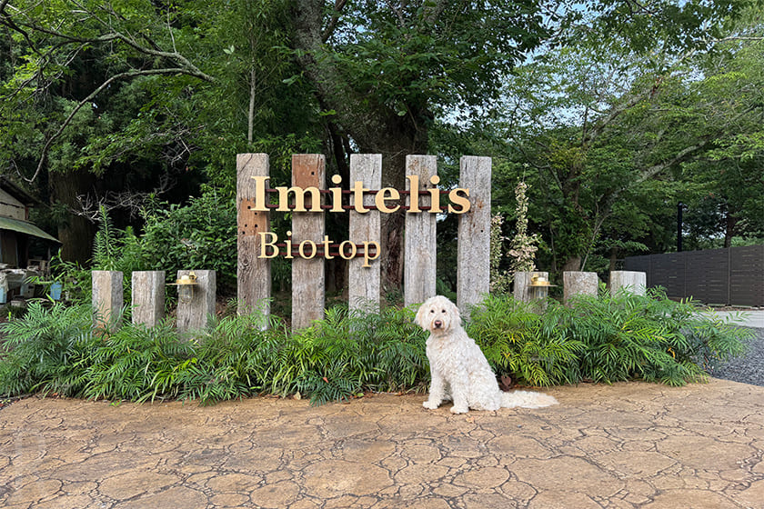 愛犬と心ゆくまで過ごせる「イミテリスビオトープ」