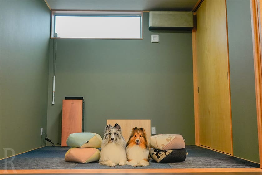 今回宿泊したのは、青と白を基調とした爽やかなデザインが印象的な「Sky」というお部屋。