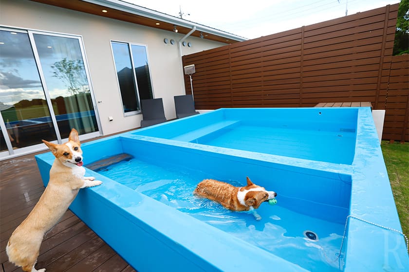 専用ランとプールで、愛犬大はしゃぎ！