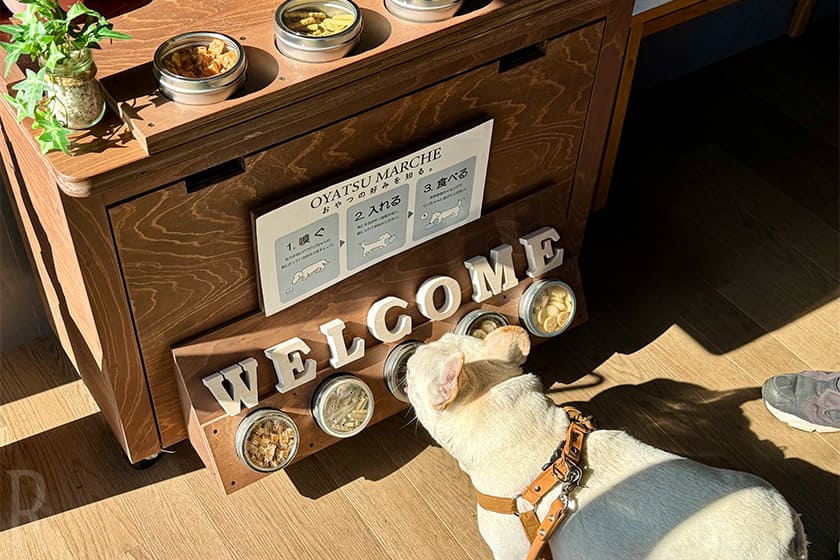 管理棟に入ると、まず目に入るのが愛犬用のウェルカムトリート。