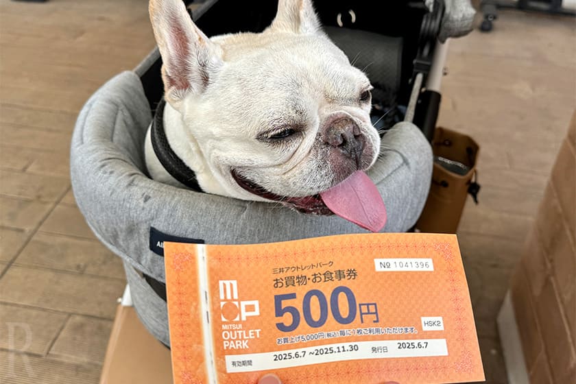 チェックアウト後も楽しい!アウトレットでお得にお買い物
