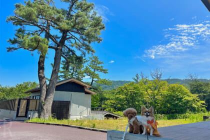 愛犬、ふわりと「モリトソラ箱根」にお泊まりしてきました！