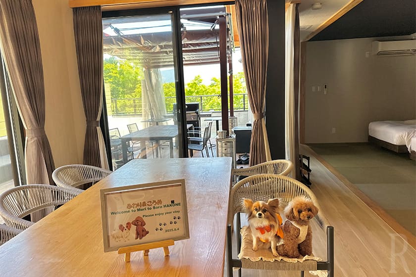 わんちゃんファーストで考えられたお部屋に感動