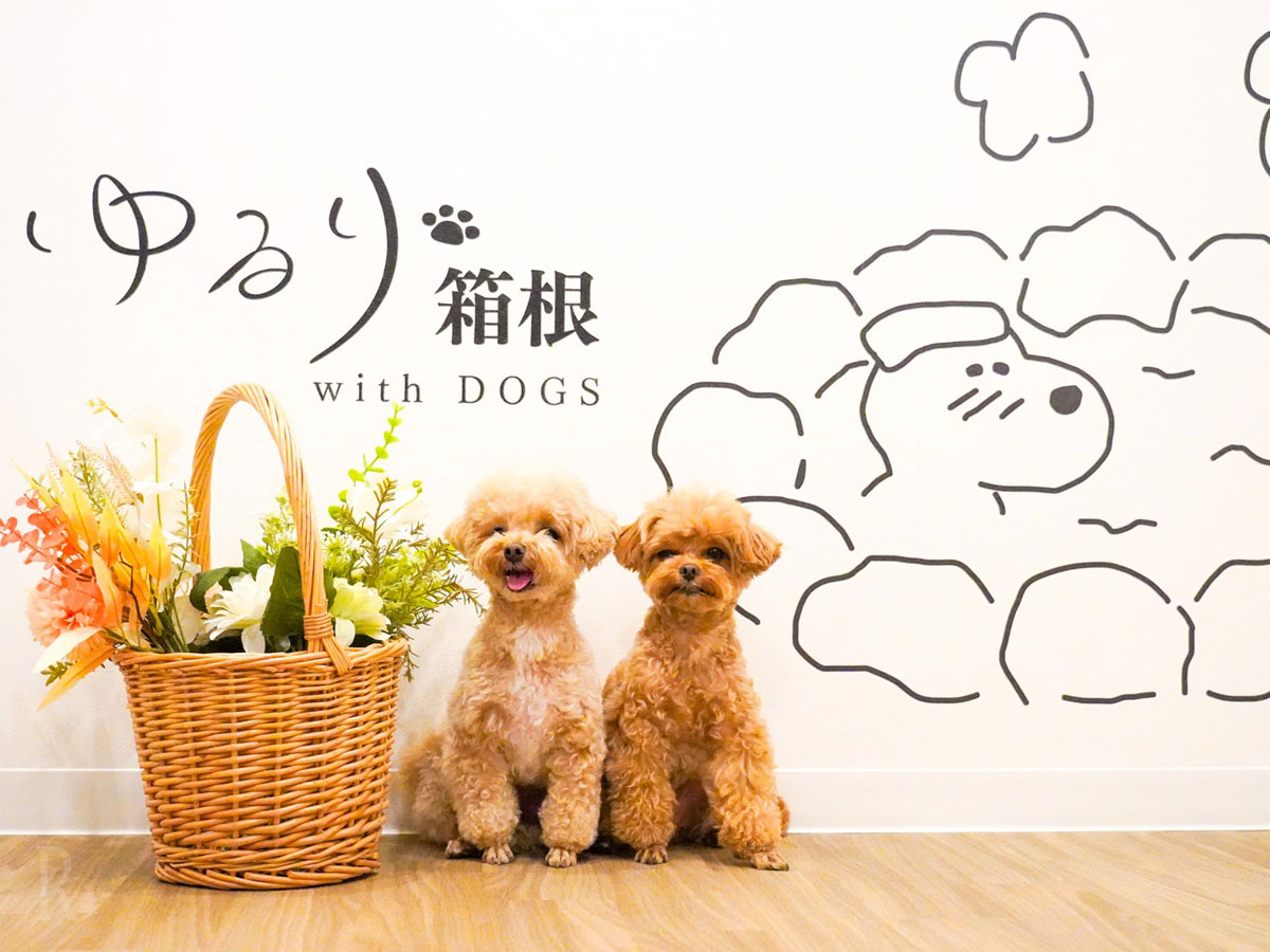 温泉旅館「ゆるり箱根。」