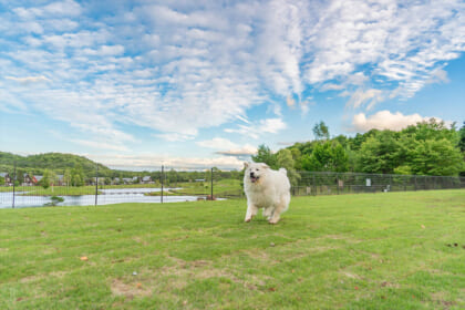 エンゼルフォレスト白河高原