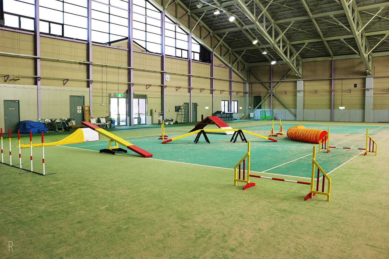 屋内ドッグラン