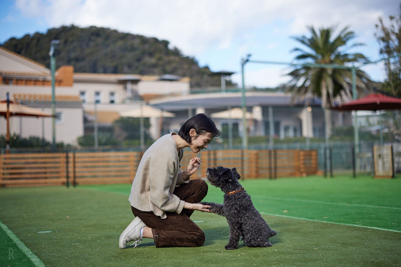 300坪の広さを誇る人工芝の地上ドッグラン