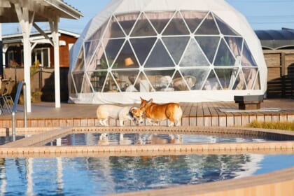 遊ぶ・食べる・癒されるが全てそろった 「グランデ プライベートドッグリゾート常陸」が最高だった！