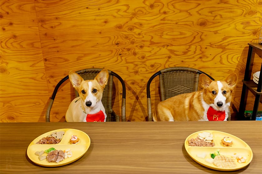 オプションでわんこ用ごはんもアレンジ可能！