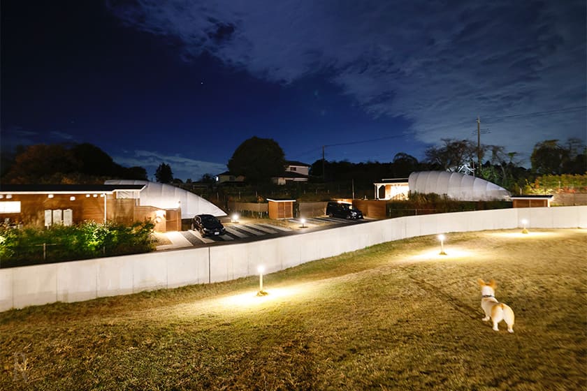 宿泊者だけの特権、ナイトラン