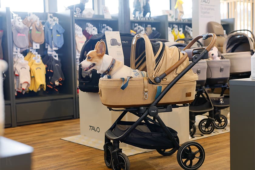 チェックインは魅力的なアイテムが並ぶショップで