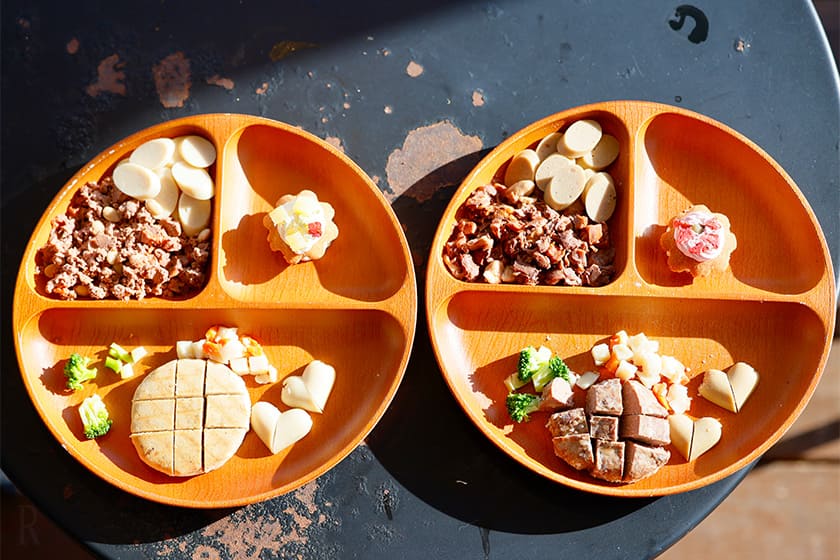 ぴーぷーたちにも夕食同様、4種セレクトごはんを用意。