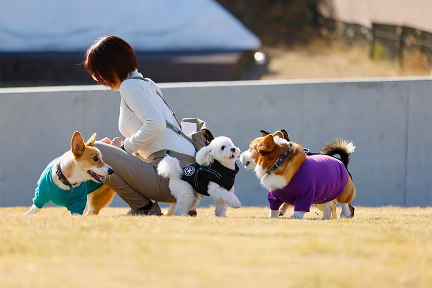 デイユースも可能な広いドッグランに大興奮！