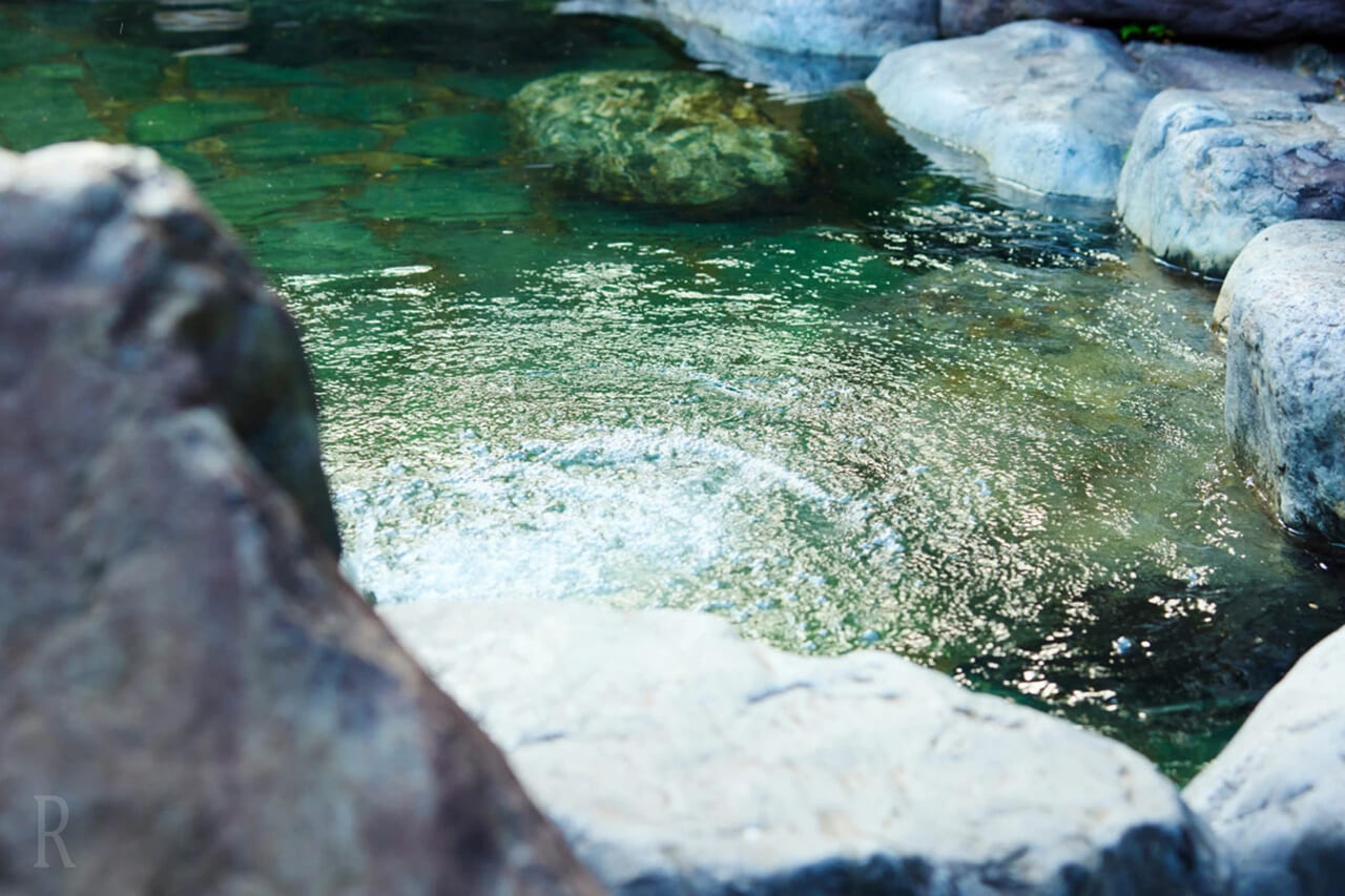身体と心をほぐす赤城の天然温泉