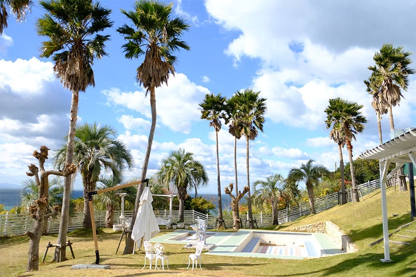 ドッグランにはプールもあり、夏の間はたくさんのわんこで賑わうのだとか。