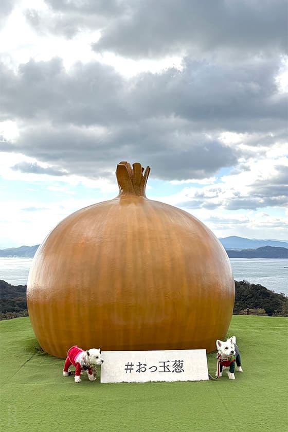 道の駅「うずしお」にある玉ねぎオブジェ「おっ玉葱」