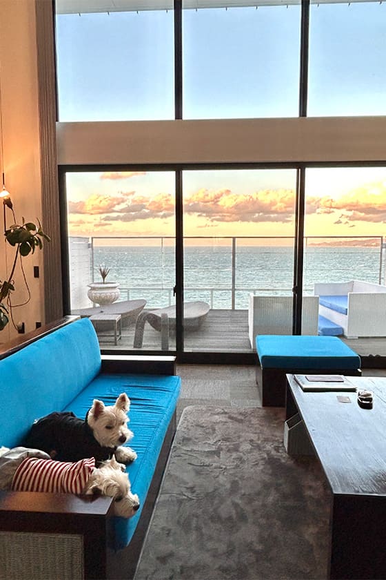 モダンリゾートらしい落ち着いた雰囲気でくつろぎの時間を堪能できます