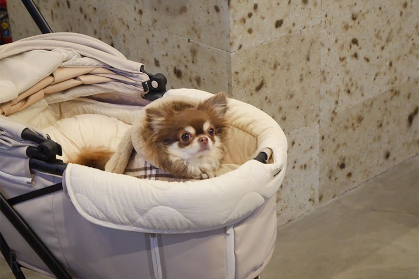 もなこは一気にテンションアップ