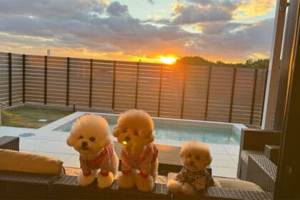 海目の前で愛犬と過ごす「うみテラス二色の浜」 プライベートプール付きグランピングを楽しんだ宿泊記