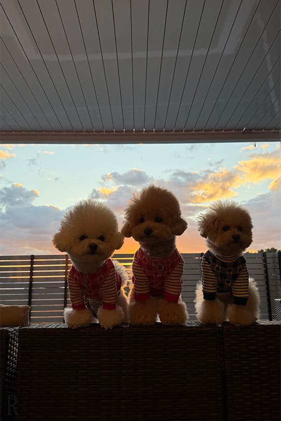 夕日に包まれるひとときが最高の思い出に