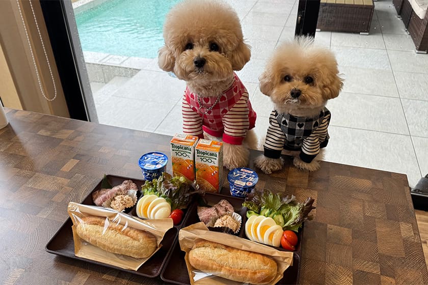 おしゃれサンドウィッチで満腹朝ごはん