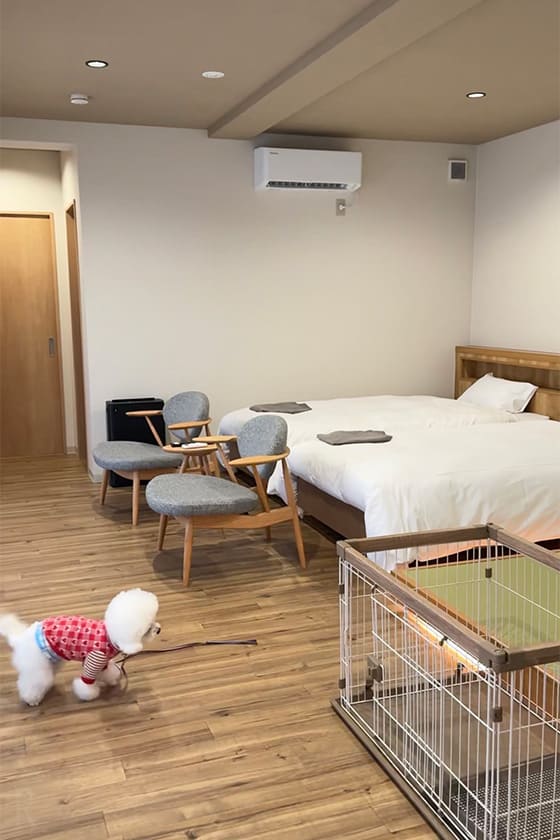 和室もある広々したお部屋