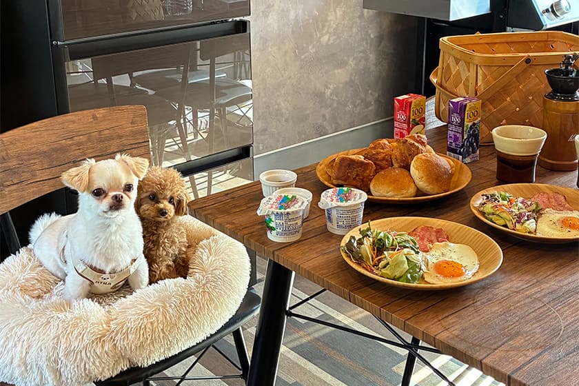 ピクニック気分の朝ごはん