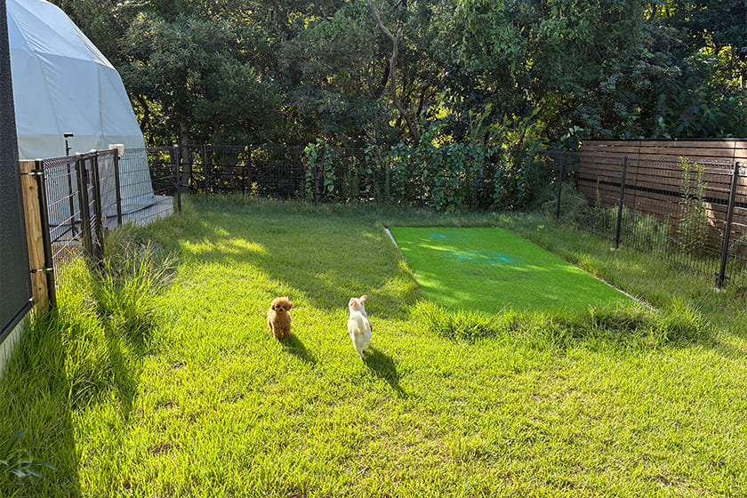 縁結びの町・出雲で、愛犬との絆をより一層深められたグランピング体験でした。