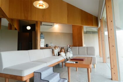 “愛犬ファースト”のグランピング施設「ナラガミリゾート匝瑳」を、いぬやどアンバサダーのりんおとがご紹介します！