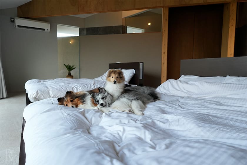 波の音をBGMに、愛犬との充実したプライベート時間を堪能できた「ナラガミリゾート匝瑳」。