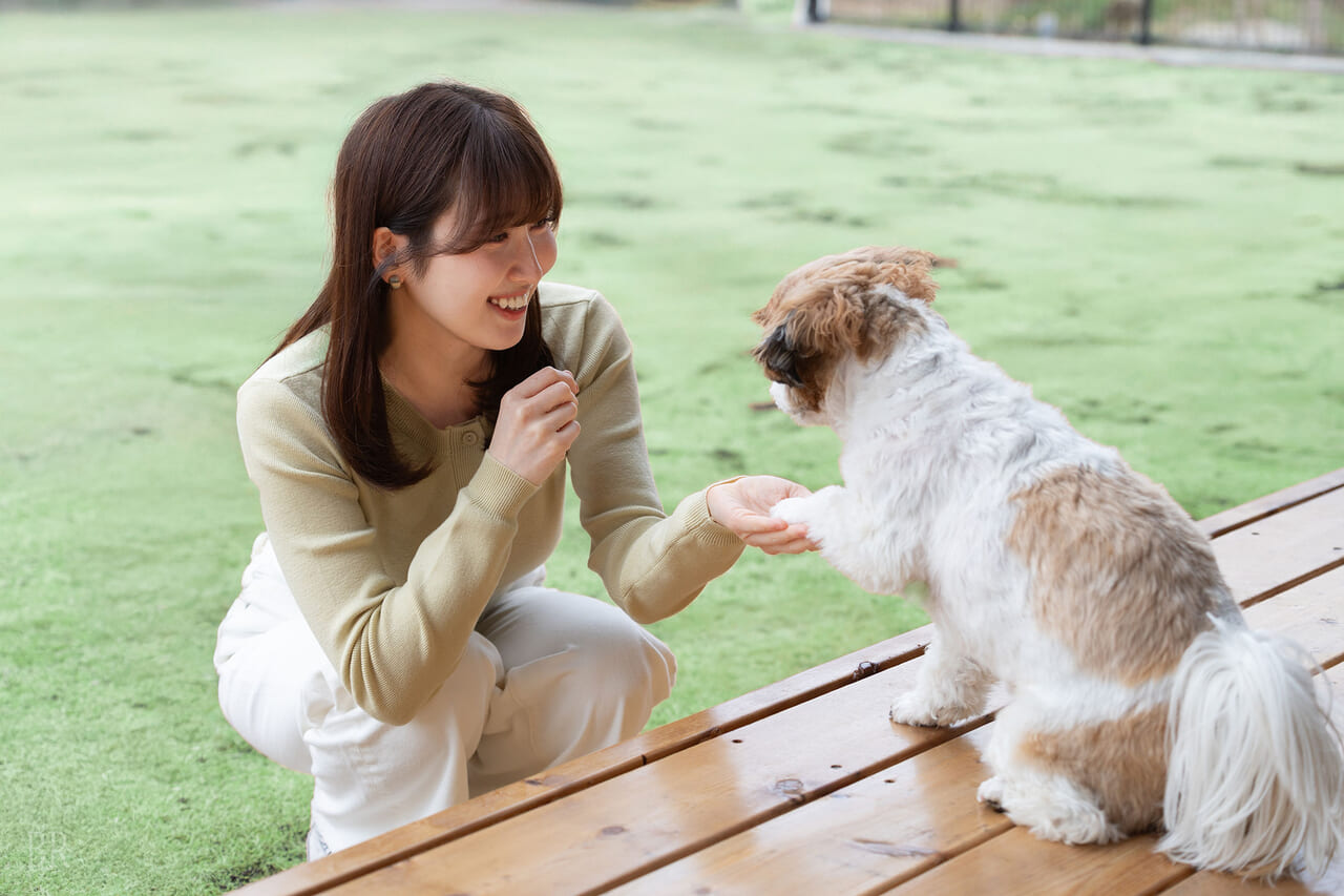 愛犬との絆を深めるひとときをお過ごしください。
