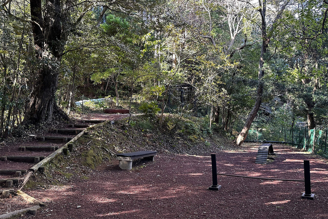 個性豊かな「4種のドッグラン」と専用ドッグスパ