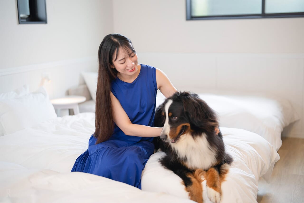 愛犬と添い寝OK