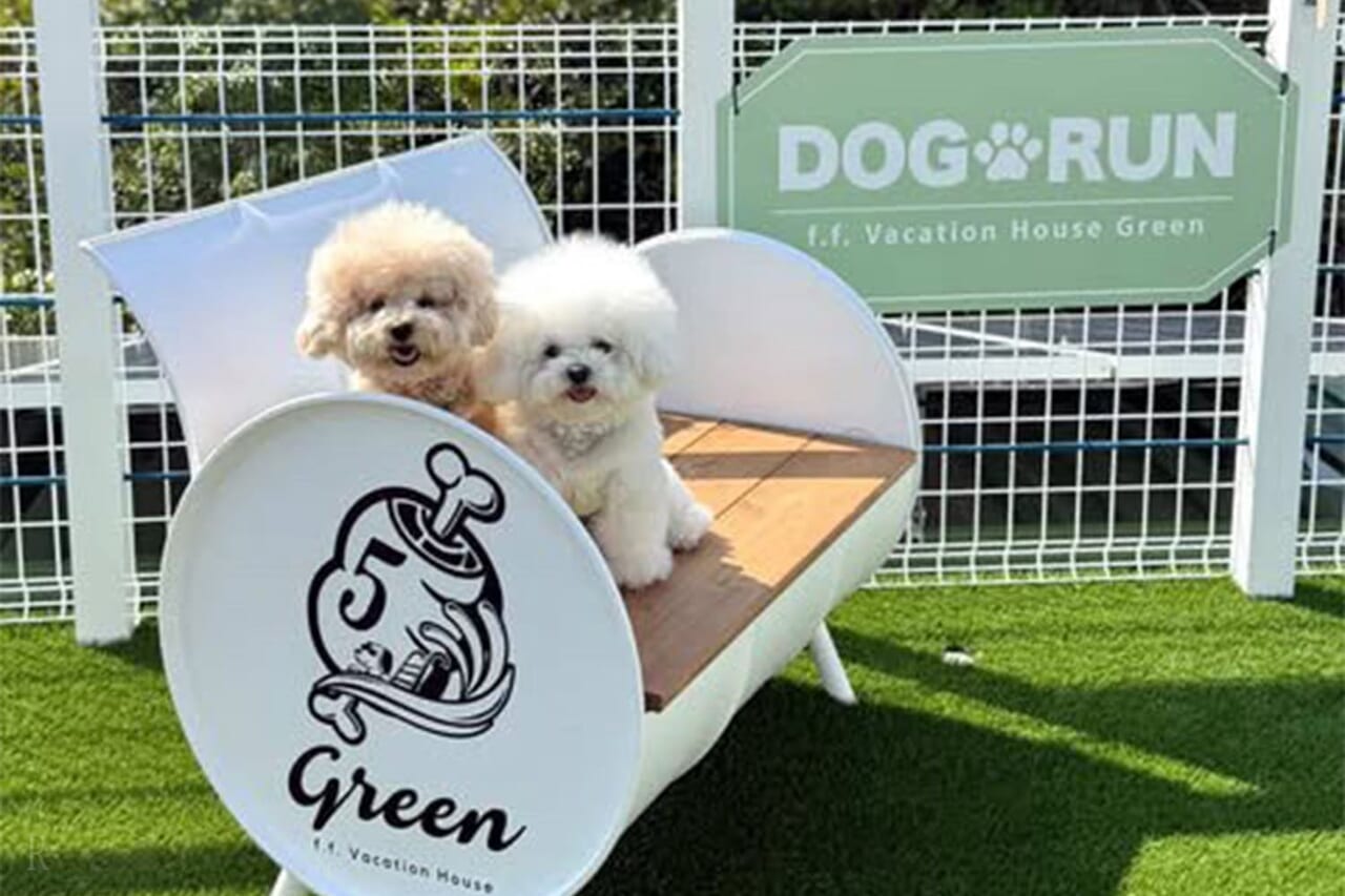 愛犬とのびのび過ごせるドッグラン